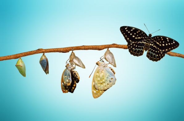 pakker 1 zilver achtergrond Quick Reset